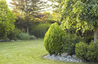 SOWOOD LAND MANAGEMENT LTD