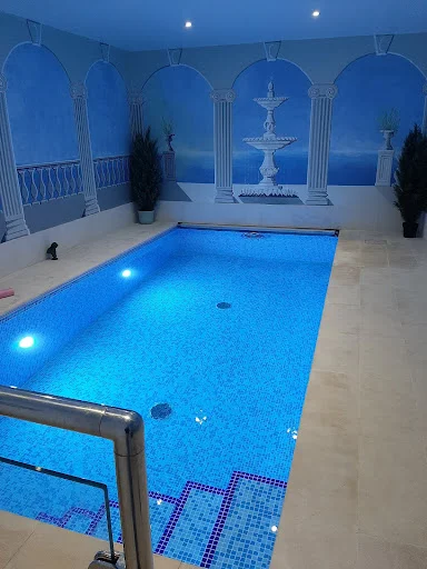 SURREY SWIMMING POOLS LTD