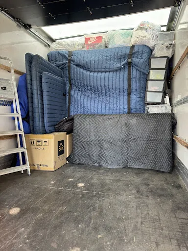 Sal Removals