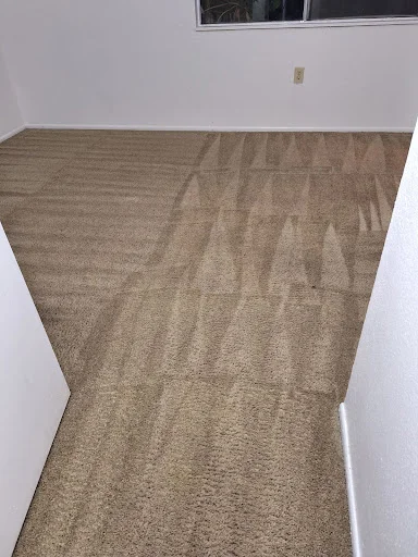FIRST CLASS CLEANING SERVICES LTD