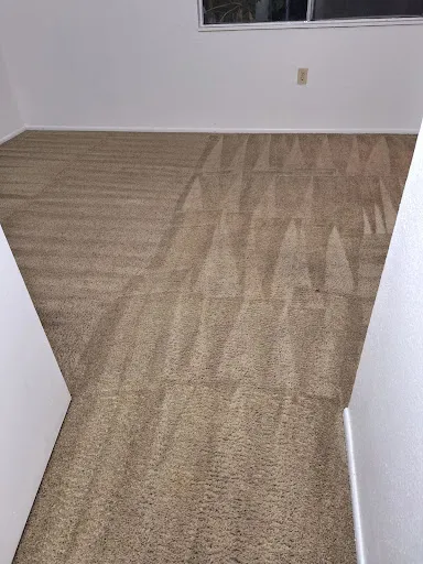 FIRST CLASS CLEANING SERVICES LTD