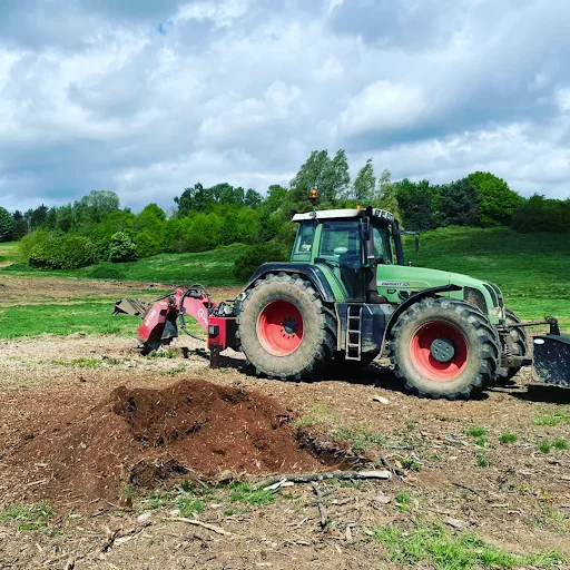 ROFELO FORESTRY LIMITED