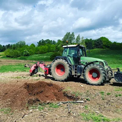 ROFELO FORESTRY LIMITED