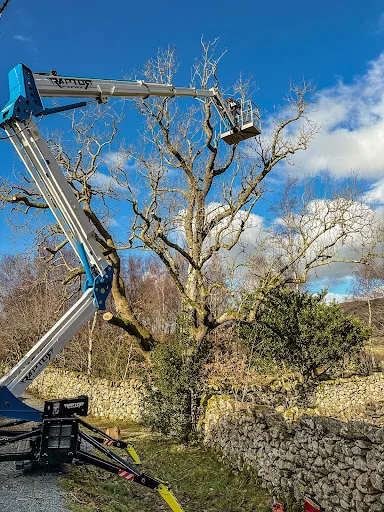ARBORSCAPE ENVIRONMENTAL SERVICES LTD