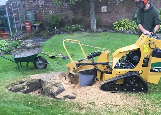 Tree Stump Removal