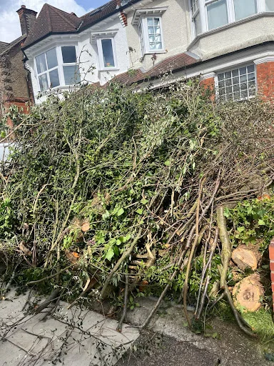 RUBBISH MASTERS SERVICES LTD