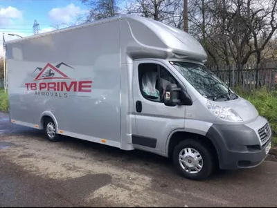 TB Prime Removals