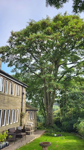 KEIGHLEY TREE SERVICES LIMITED