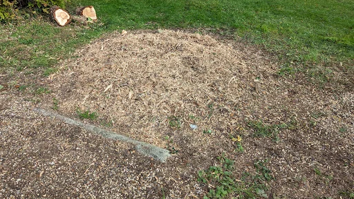 Berkshire Stump Removal