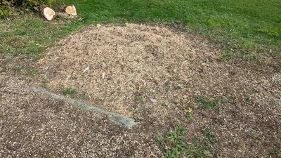 Berkshire Stump Removal