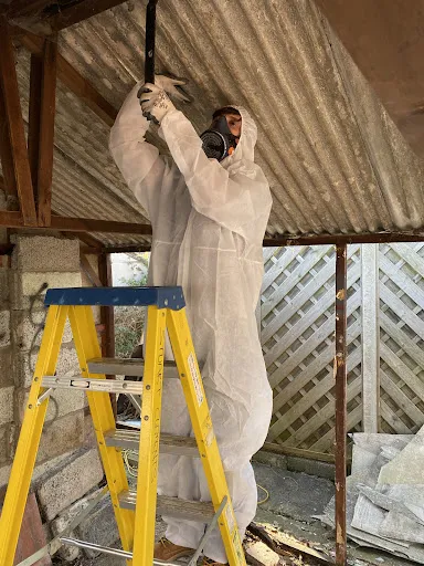 LSJ ASBESTOS SERVICES LTD