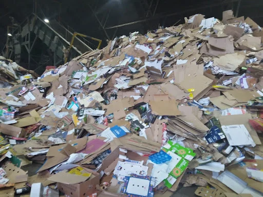 ENVIRONMENT FIRST LIMITED