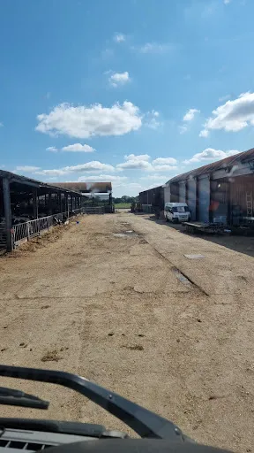 BDC TYRE RECYCLING LIMITED