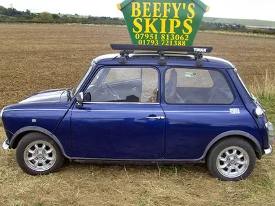BEEFY'S SKIPS LTD