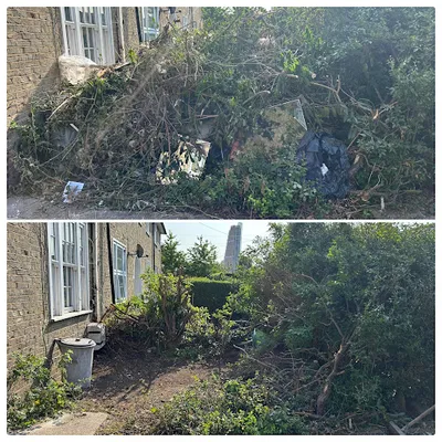 Woodsies Waste